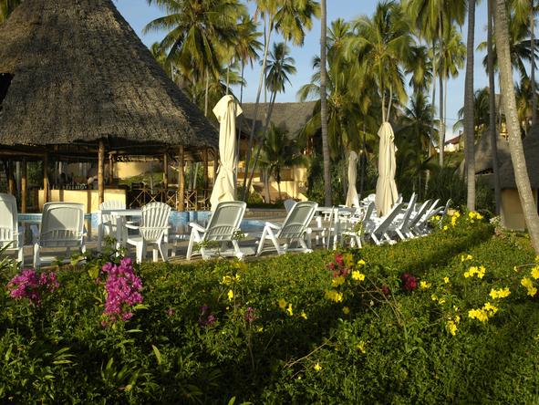 Ocean Paradise Resort - Garden 